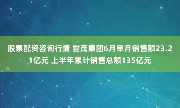 股票配资咨询行情 世茂集团6月单月销售额23.21亿元 上半年累计销售总额135亿元