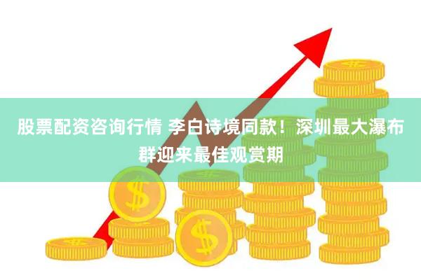 股票配资咨询行情 李白诗境同款！深圳最大瀑布群迎来最佳观赏期