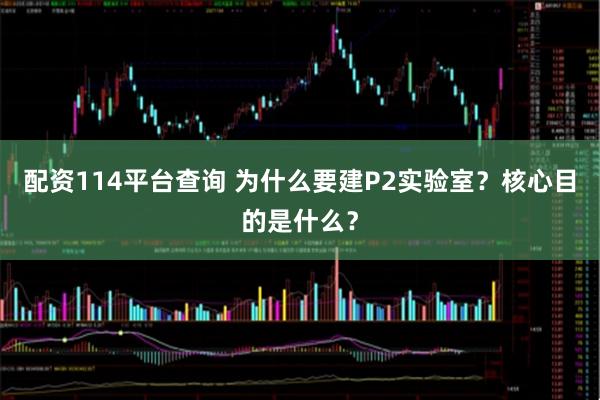配资114平台查询 为什么要建P2实验室？核心目的是什么？